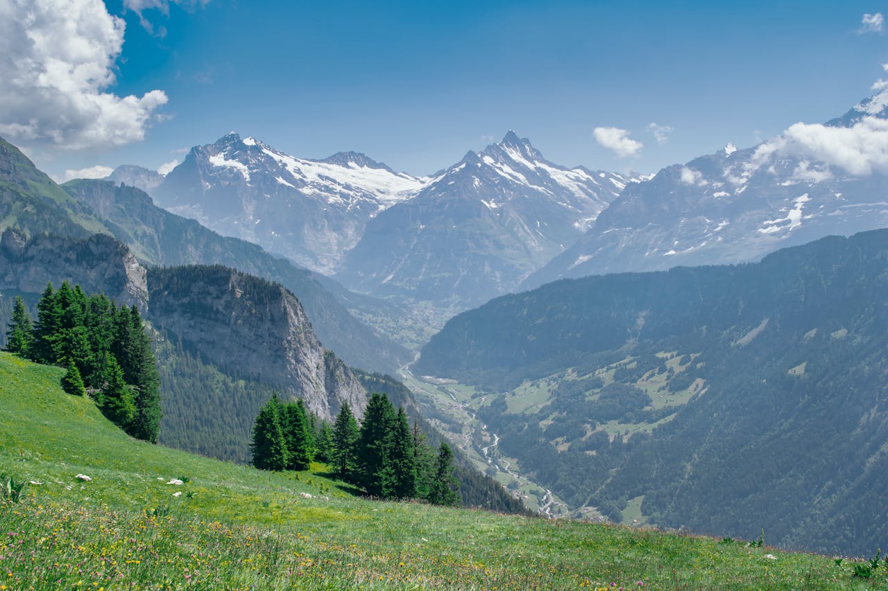 Majestic snow-capped mountains and lush valley in the Swiss Alps, perfect for nature lovers.